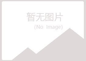 新疆夏岚邮政有限公司